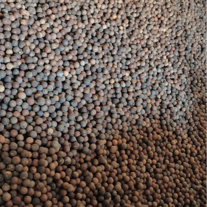 Bodhi Raw Seed Unpolished Natural Bodhi Seed Wholesale 12-18MM Size Indonesian Natural Bodhi Seed Bulk