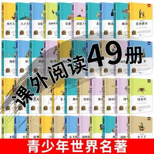��ͯ�D�������ČW��������49�� ���������꼉��x�n��������x��