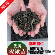 ̨q~籾qqr~Bֳˮ~