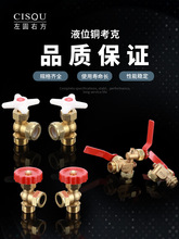 偠t������ҺλӋ����4��6����z�ӿ��S�~DN15/20ˮλ�ߵ������y