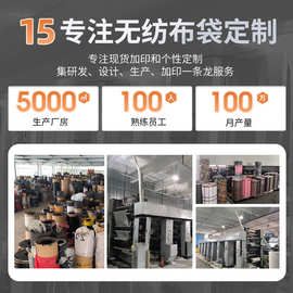 圣诞节礼品袋卡通圣诞风格覆膜无纺布手提袋包装购物袋产厂家现货