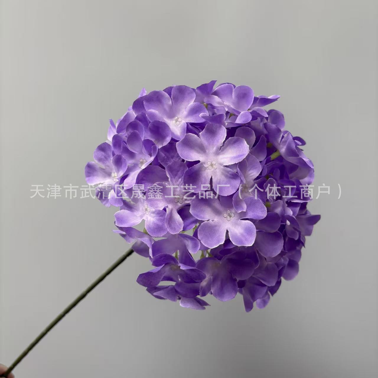 Purple edge