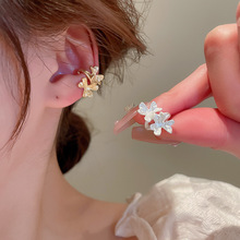 �n���¿�o�����ް�������A�r���OӋ�o�������ǊA���s�ٴ���Ů