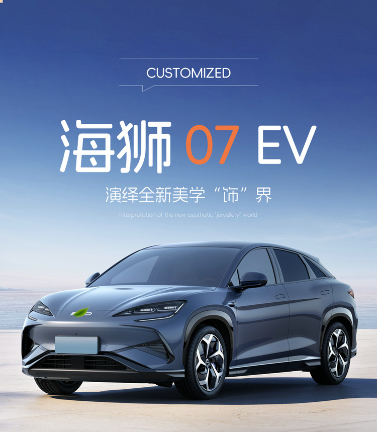 2024 550 four-wheel drive smart flight version BYD sea lion 07EV special car full surround leather car seat cover