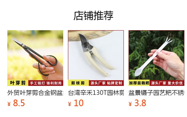 详情图