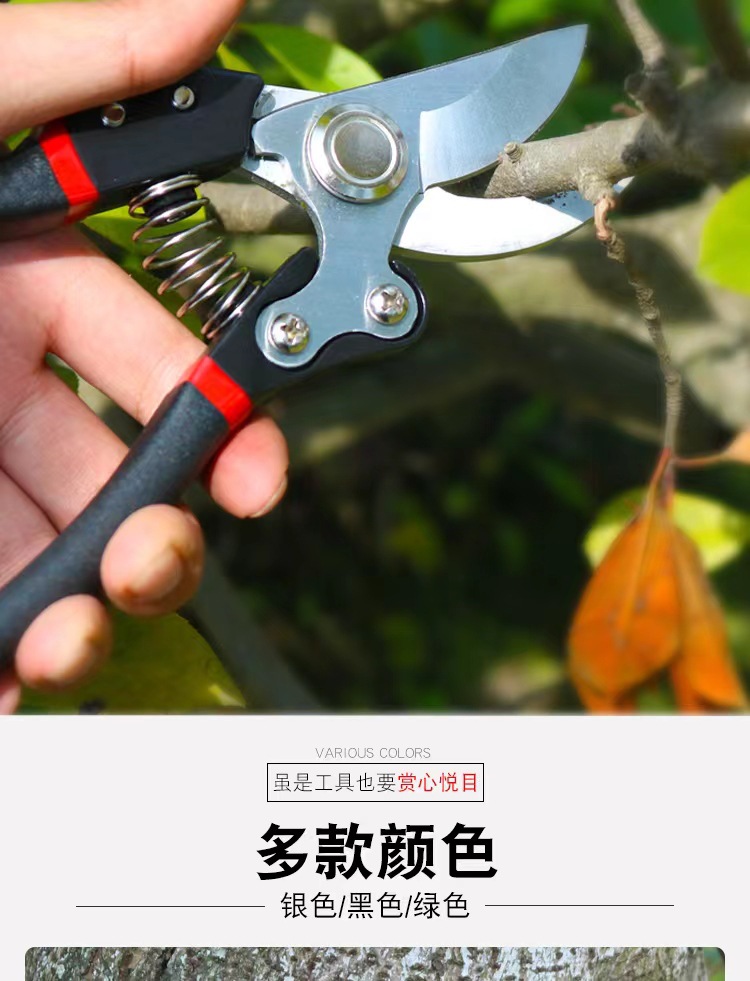 微信图片_20220808113819