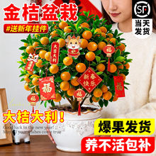 ��ۘ������Ԏ��������辰��ʳ�ÿ͏d�ļ���ֲ���҃���С����