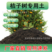 ���Ә䌣�����������ɷNֲ�����Ә�I�B��ͨ�÷N���B���ЙC������