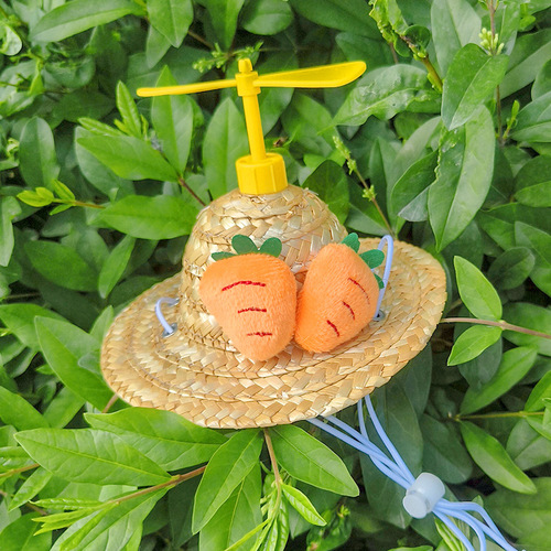 Pet straw hat summer cat and dog decoration small and medium-sized puppies new spring and summer bamboo dragonfly hat Teddy photo props