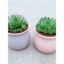 �ӌO�M�ö���ֲ���^��ɏ�͏d���������ļ����B�����҃ȾGֲ