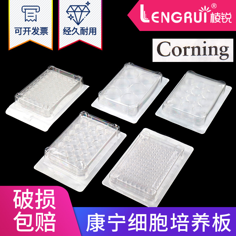 康宁 TC表面 细胞培养板6孔12孔24孔48孔96孔平底 Corning-Costar