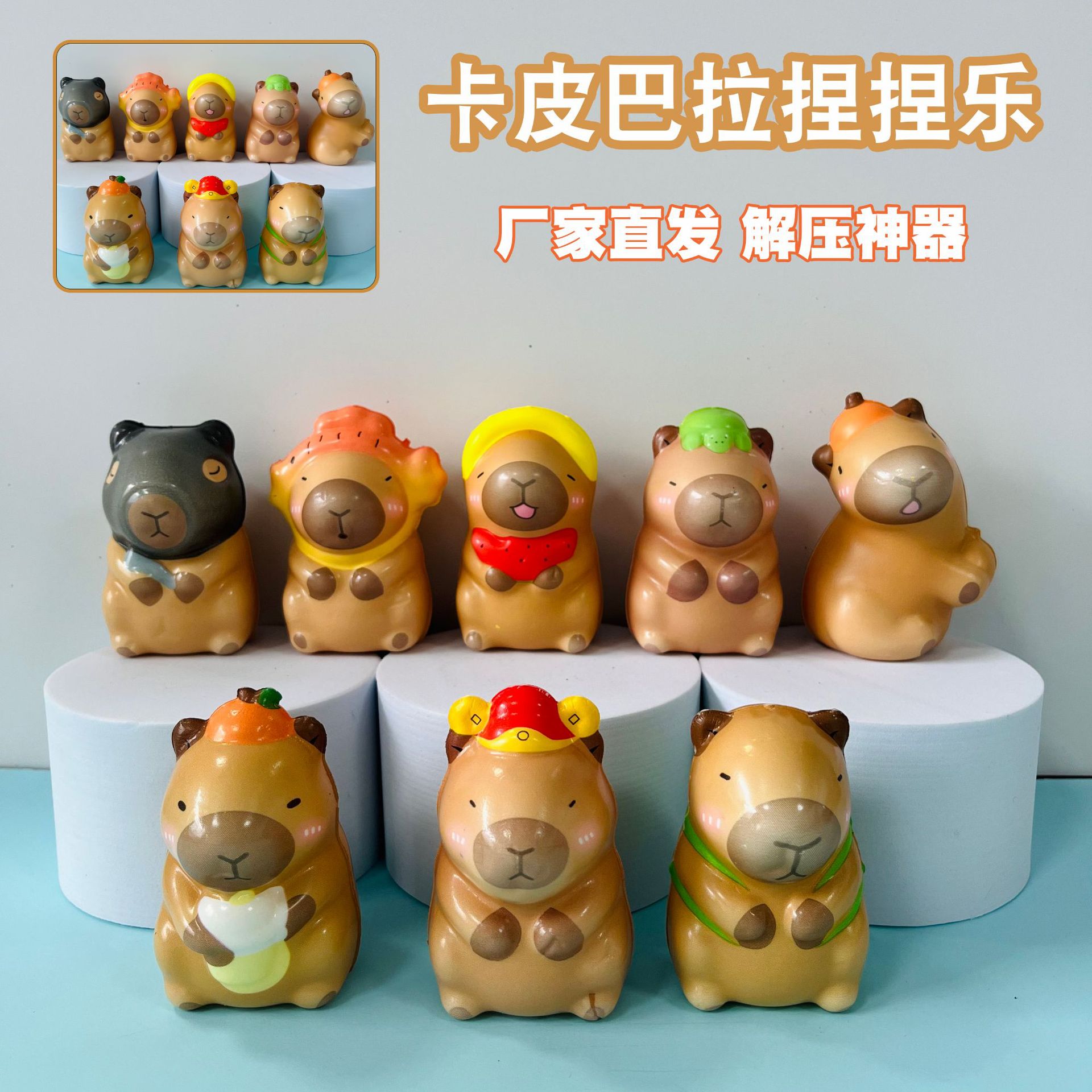 카피발라(약 8cm)