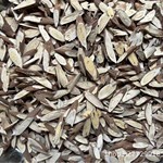 野生川黄芪理塘黄芪片甘孜藏族黄芪中药材农户自挖自然晒干无硫