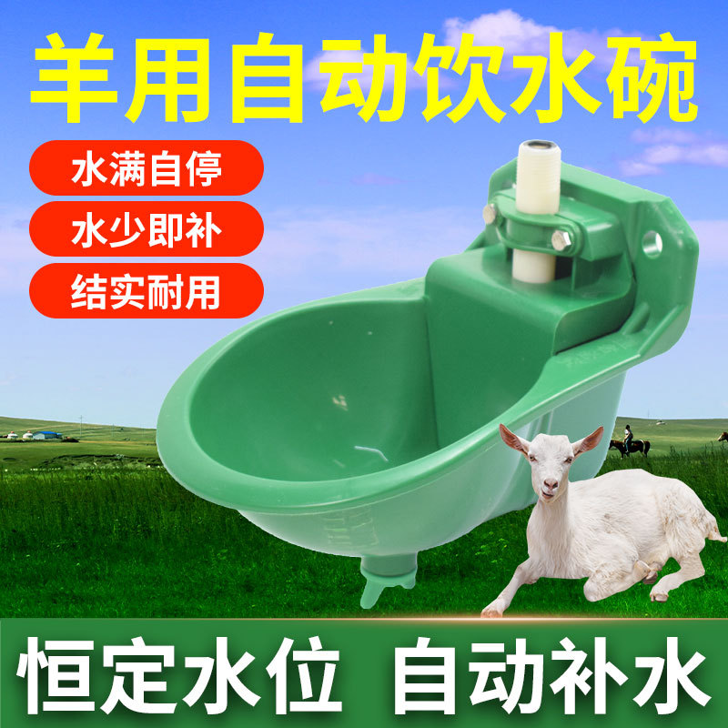 Cuenco para beber para ovejas, bebedero automático de plástico, alimentación para ovejas, cuenco para beber, fregadero para ovejas, equipo automático para beber para ovejas
