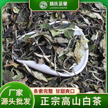 2023年高山白茶老白茶散茶厂家批发荒野茶月光正宗白茶白牡丹散装