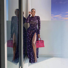 Y6067 新品欧美女装2025秋冬气质网纱大开衩长袖连衣裙亚马逊现货