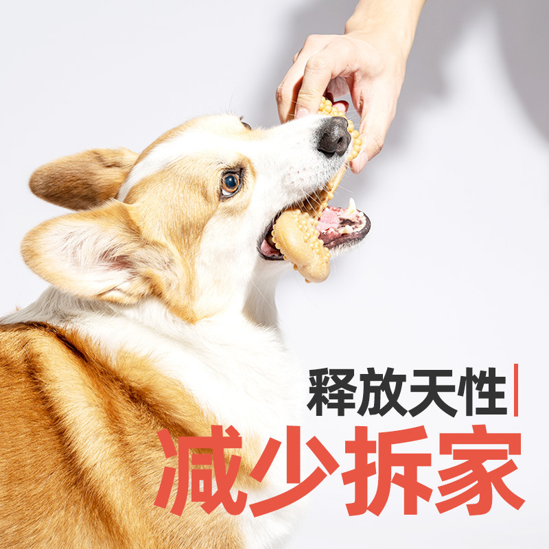 FOFOS二匹の福狸犬のおもちゃは歯磨き棒で歯磨きをします。|undefined