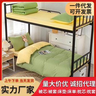 Quilt four-piece set with quilt core pillow core dormitory quilt mattress a set of gray quilt bedding six-piece set