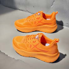 2025¿ٴ͸H\ЬǹɫpwܲЬŮЬF8829