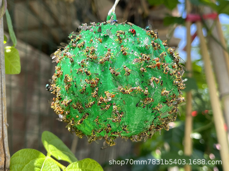 c5f655022457b8060187d5518a2410