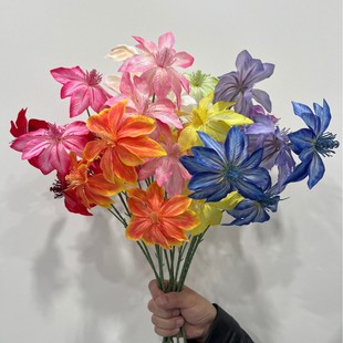 �羳3�^�F�����滨��c��Y���b廨 ƿ���Ҿ�ܛ�b�b����Q