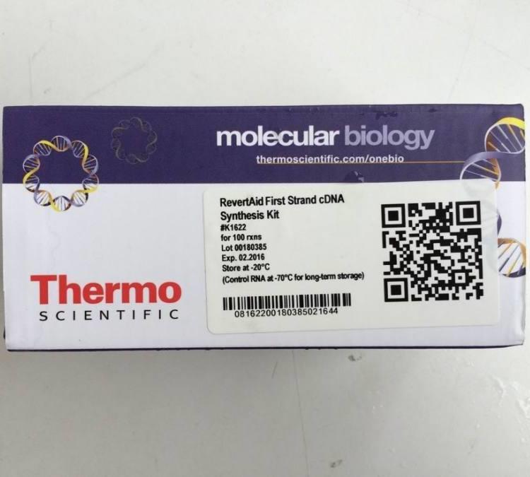 Thermo预染蛋白marker赛默飞26610 26612 26614