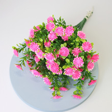 �ٻ����滨���m�ջ�c�ҾӔzӰ�b��߲�˹�����ϻ�С�r�����l