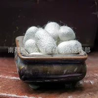 产地直销蚕丝｜立秋换季优选天然桑蚕丝被