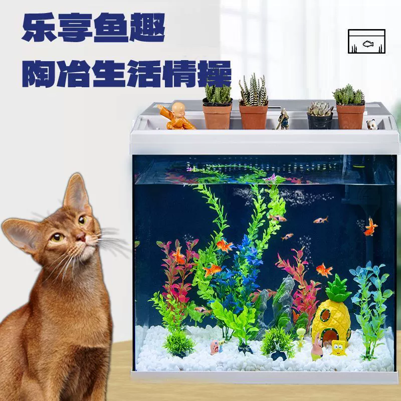 Аквариум без смены воды гостиная с золотыми рыбками дома ленивый рабочий стол стекло ландшафтное экология малых и средних аквариумов