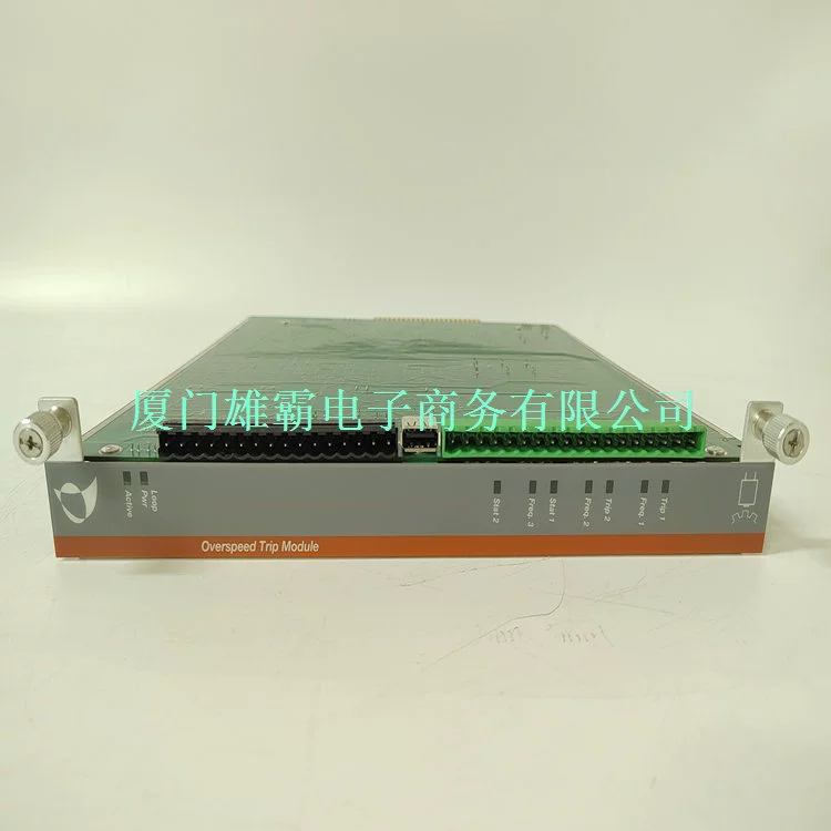Цифровой вход METSO IOP345