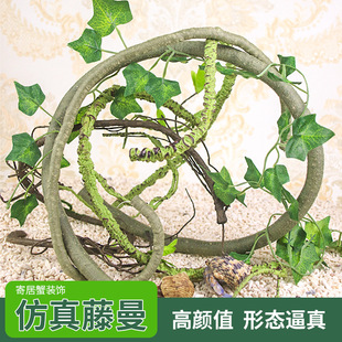 巴西时尚内衣秀