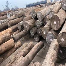 �M�ڬF؛�t�Fľ �t�Fľԭľ �t�Fľ�˰��~���Ͽڏ���l��ֱ