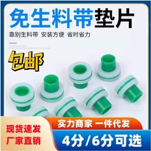 4分6分ppr代替免生料带硅胶垫片水龙头角阀防漏替代垫四分水管垫