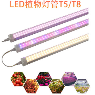 ✅ T5T8 Indoor Waterproof Full Spectrum Plant Growth Lamp Flower Seedling Succulent Plant Lamp Plant Fill Light Lamp