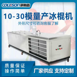 10-30模量产冰棍机水果绿豆老冰条酸奶雪糕冰棒机流水线冰淇淋