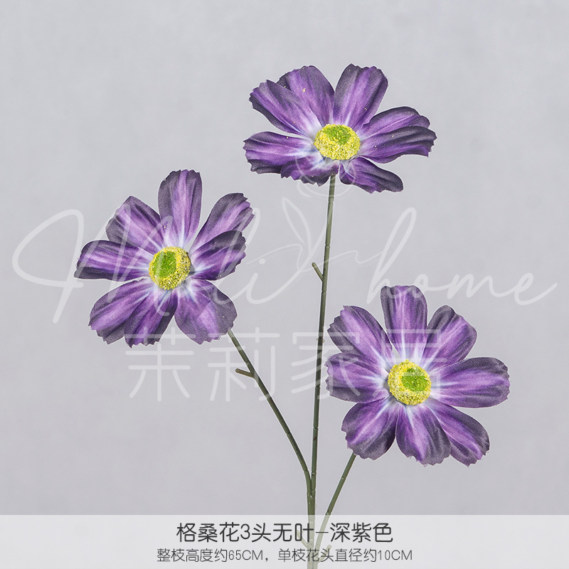 진한 보라색 5#-잎이 없는 3개의 콜산 꽃