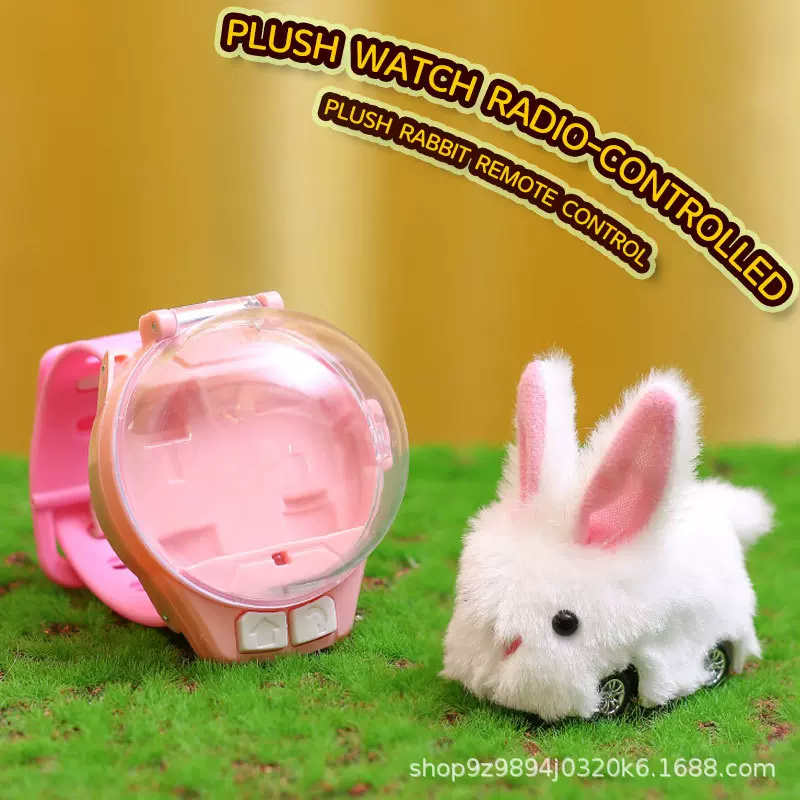 儿童手表遥控车毛绒兔子玩具车男孩迷你卡皮巴拉小汽车批发