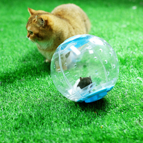 Hamster season hamster running ball toy transparent rolling ball golden bear crystal running ball hamster supplies running ball manufacturer model