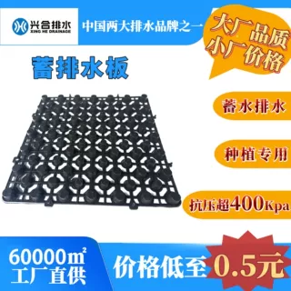 厂家批发车库顶板屋顶花园绿化疏水蓄排水板凹凸型塑料蓄排水板