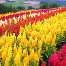 �u�ڻ��ѷN���ļ������N���׻��ͺ������޸����Ի��ܰ��UͥԺ����