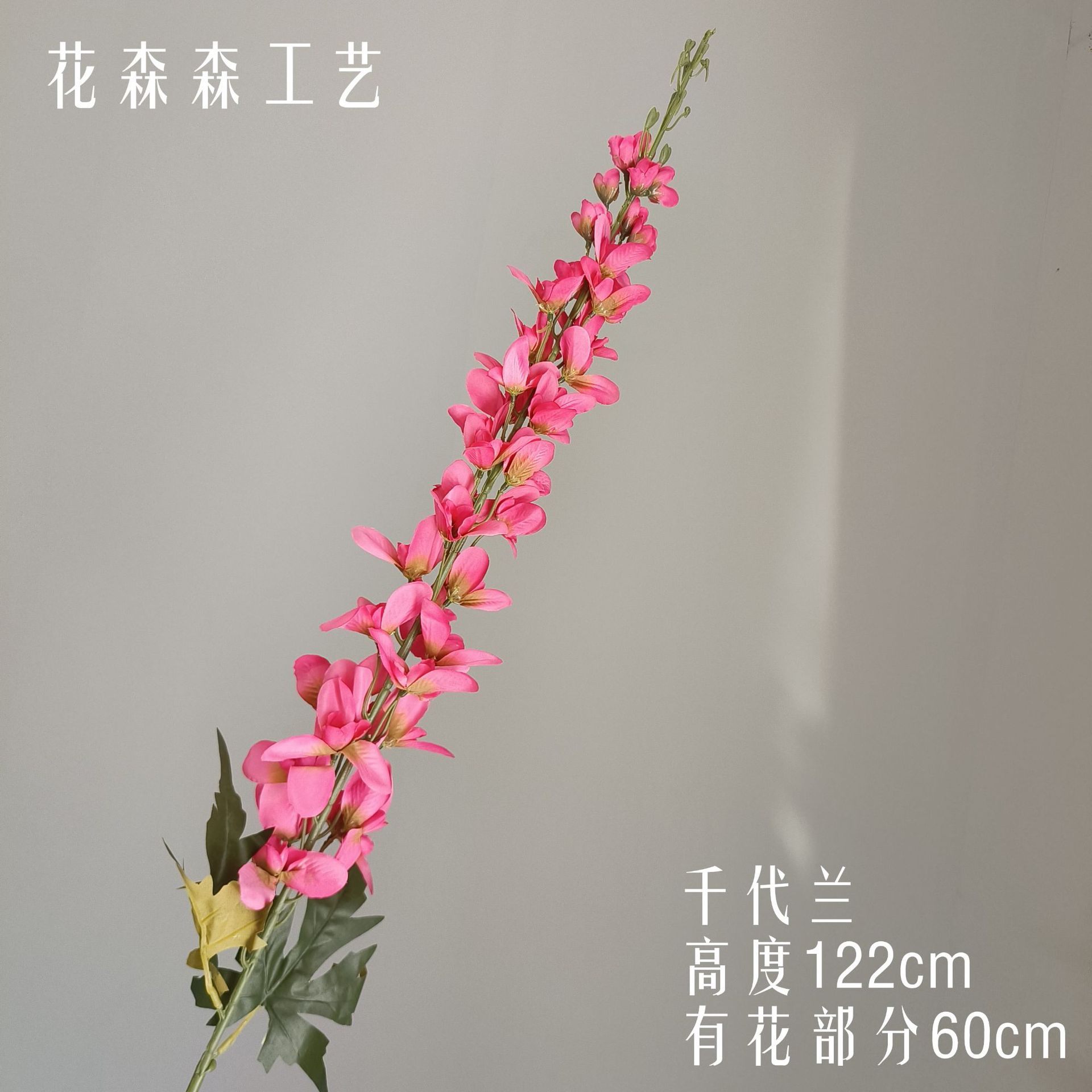 치안 다일 란 140019