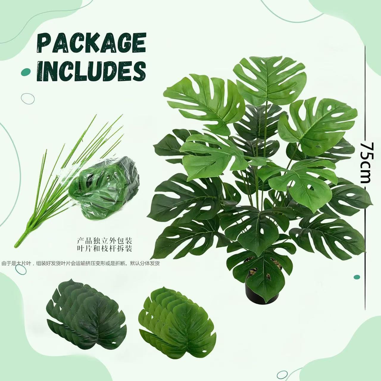 微信图片_20241212232943