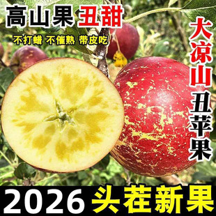 �Ĵ��}Դ���O��������ˮ���O�����ڟo���İ��]ˮ���O��һ�����l