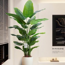 �����B���ٻ��[�O�͏d�ҕ���҃ȾGֲ�������p�ݷ���ֲ��