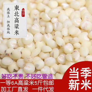 �|���|����ɽ��6A�׸��������l5���r�����״ּZȥ��10������s�Z