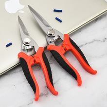 ���P�늹�������� �FƤ������|�����FƤ���� ���ۼ�늹�����