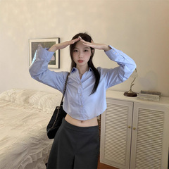 小个子衬衣设计感小众休闲上衣蓝色短款长袖独特衬衫女春季学院风