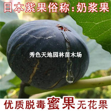 �۹��o����������ش��ļ����԰�����ͥԺ�����t����Y�����r���