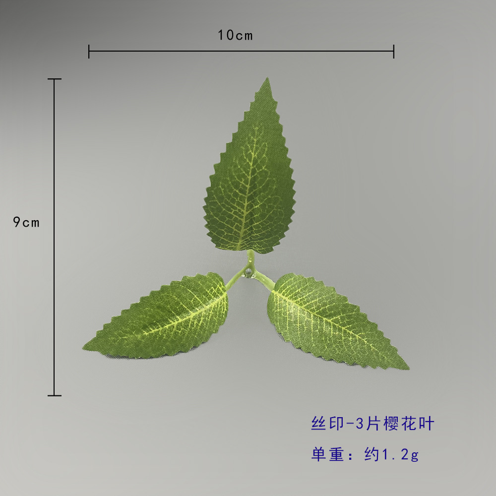 사쿠라 클로버