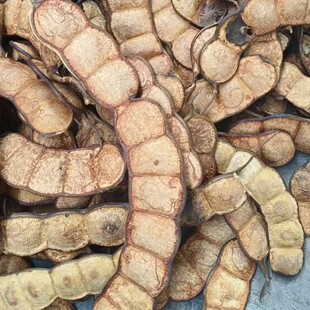 ����^�����}�ٶ��v����DIY���ȿɐ����|�����Ѷ��v�������l